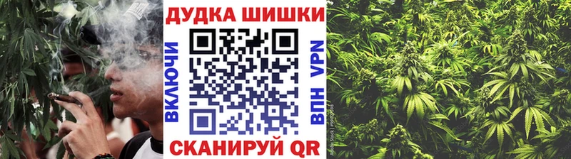 Галлюциногенные грибы Северо-Курильск