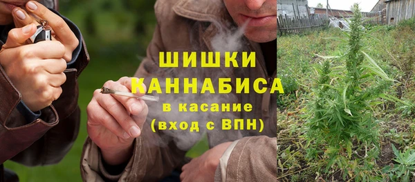 ГАЛЛЮЦИНОГЕННЫЕ ГРИБЫ Армянск
