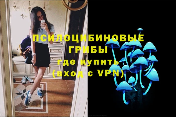 мет Аркадак