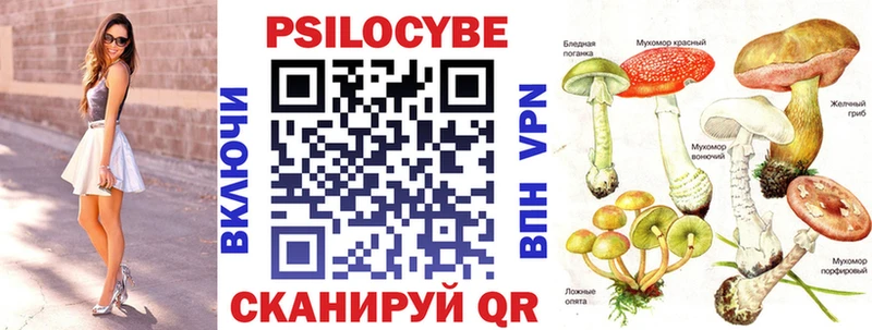 купить наркотик  Северо-Курильск  Псилоцибиновые грибы Magic Shrooms 